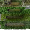 musch cribrellum larva2 volg111